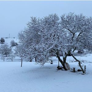 Meet your Posher, Darlene d deel